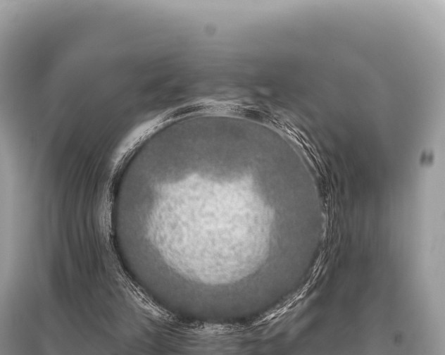 X0000096180149200801251224