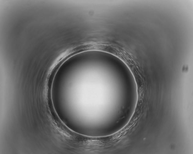X0000096180150200801251224