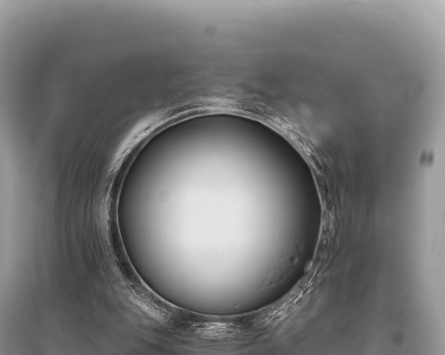 X0000096180151200801251224