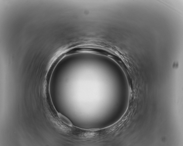 X0000096180152200801251224