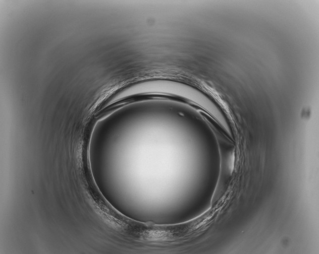 X0000096180154200801251224