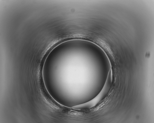 X0000096180156200801251224