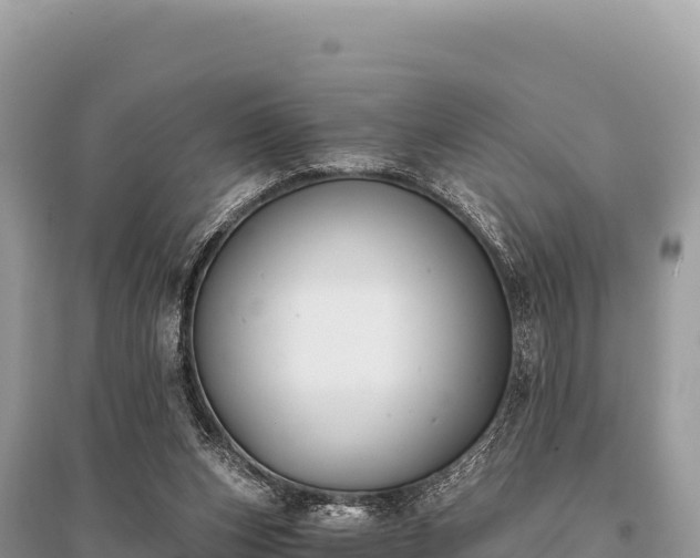 X0000096180159200801251224