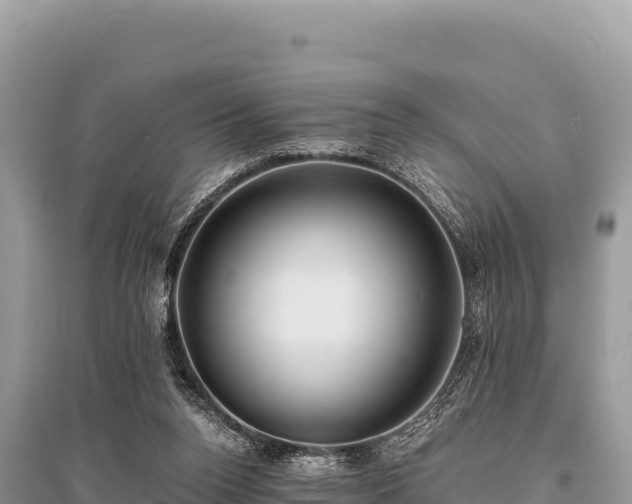 X0000096180160200801251224