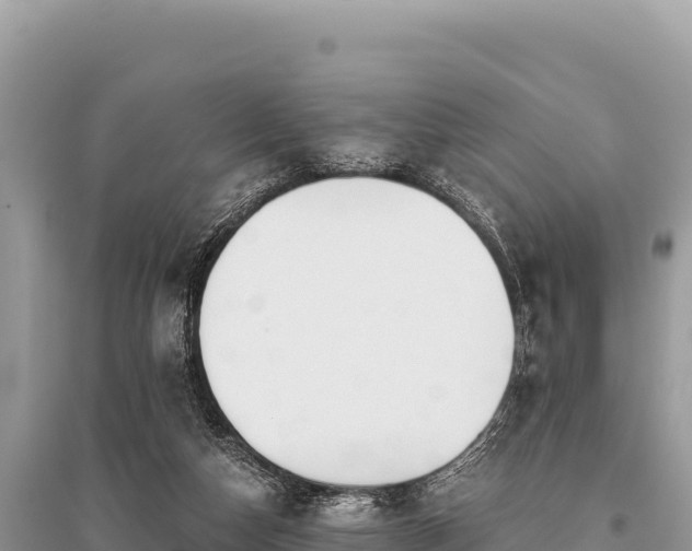 X0000096180162200801251224