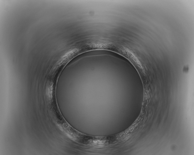 X0000096180163200801251224