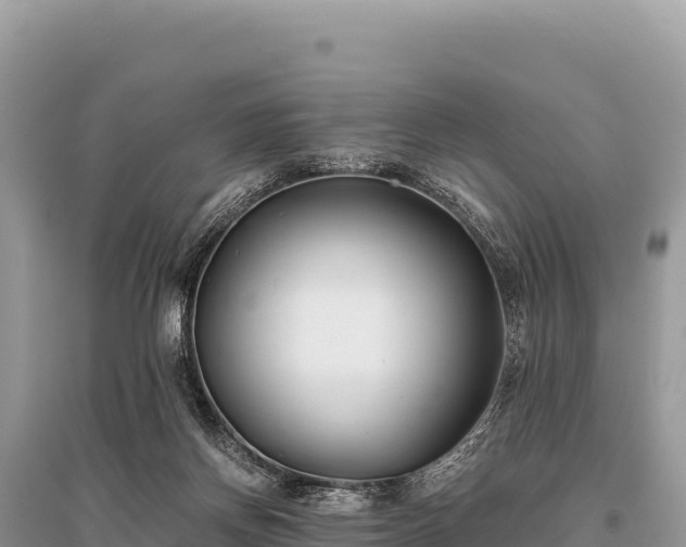 X0000096180166200801251224