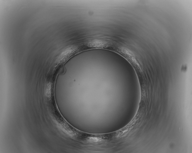 X0000096180167200801251224