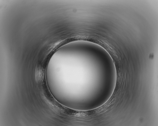 X0000096180168200801251224