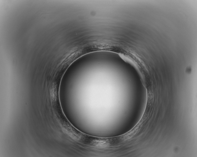 X0000096180170200801251224