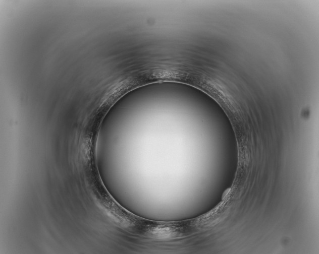 X0000096180171200801251224