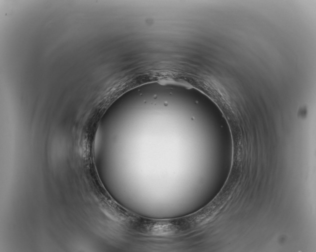 X0000096180173200801251225