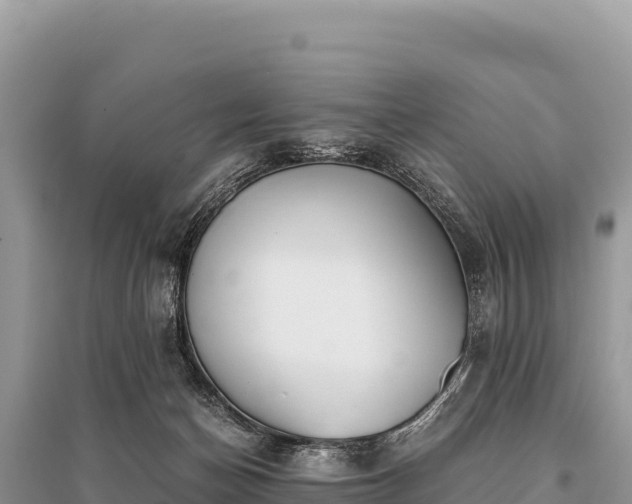 X0000096180174200801251225