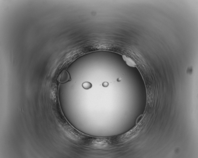 X0000096180175200801251225