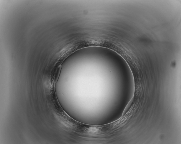X0000096180176200801251225
