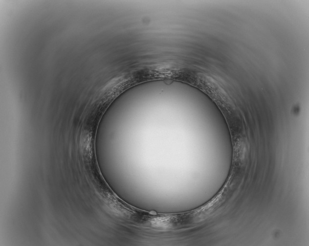 X0000096180178200801251225