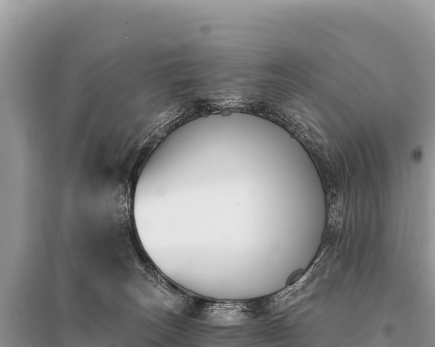 X0000096180179200801251225