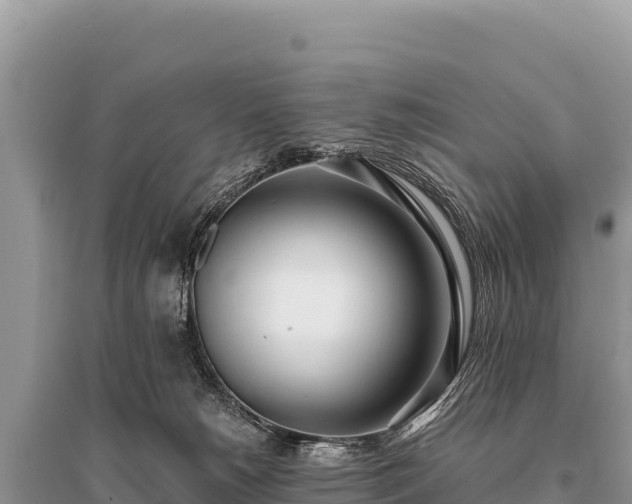X0000096180180200801251225