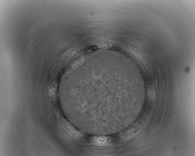 X0000096180181200801251225