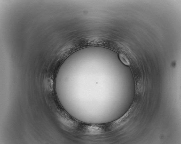 X0000096180183200801251225