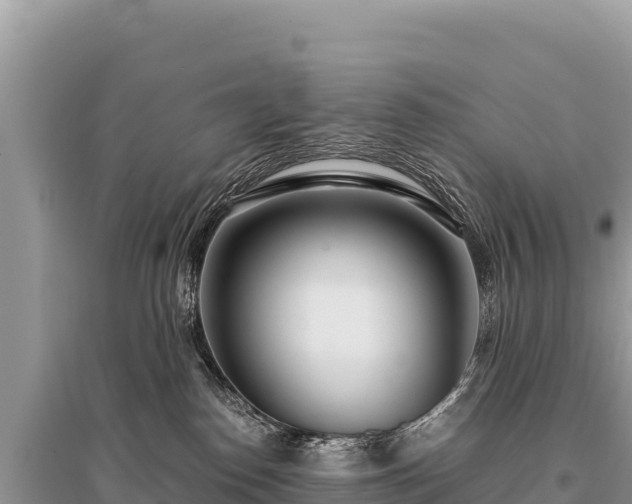 X0000096180186200801251225