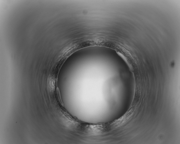 X0000096180188200801251225
