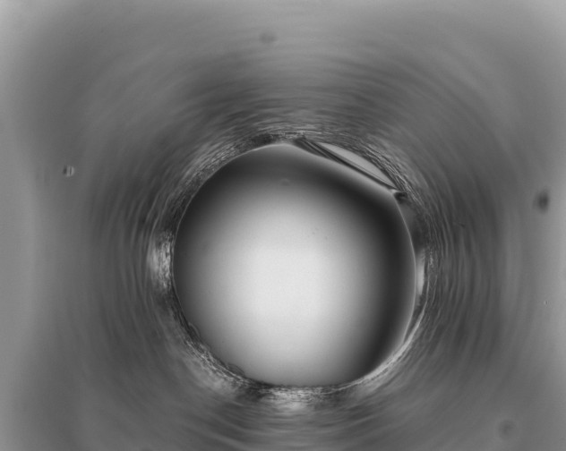 X0000096180190200801251225