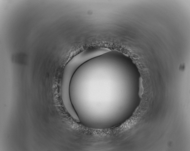 X0000096180192200801251225