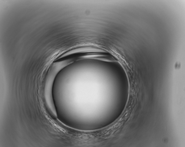X0000096180193200801251224
