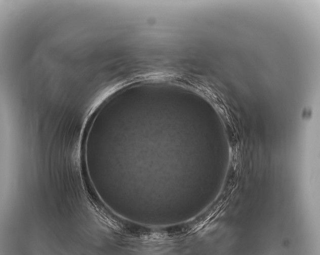 X0000096180196200801251224