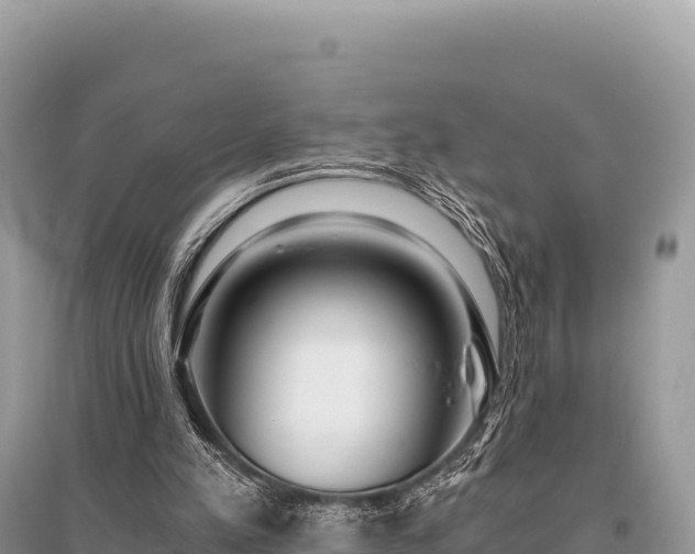 X0000096180197200801251224