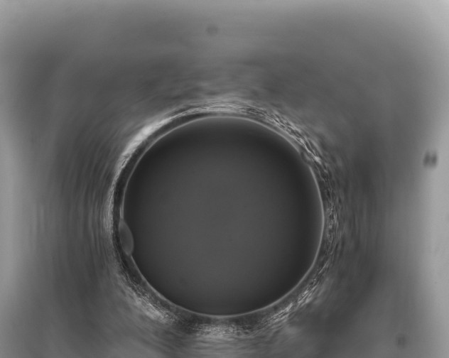 X0000096180200200801251224