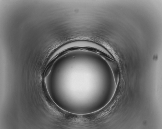 X0000096180201200801251224