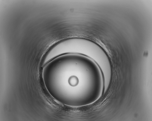 X0000096180203200801251224