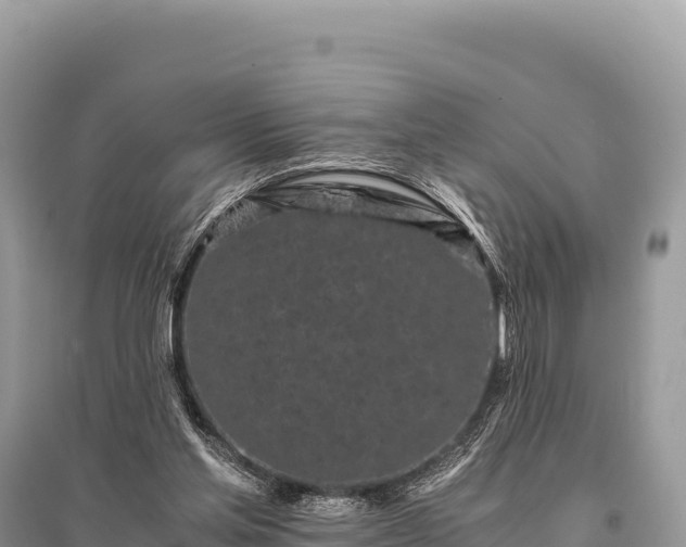 X0000096180205200801251224