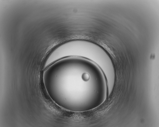 X0000096180207200801251224