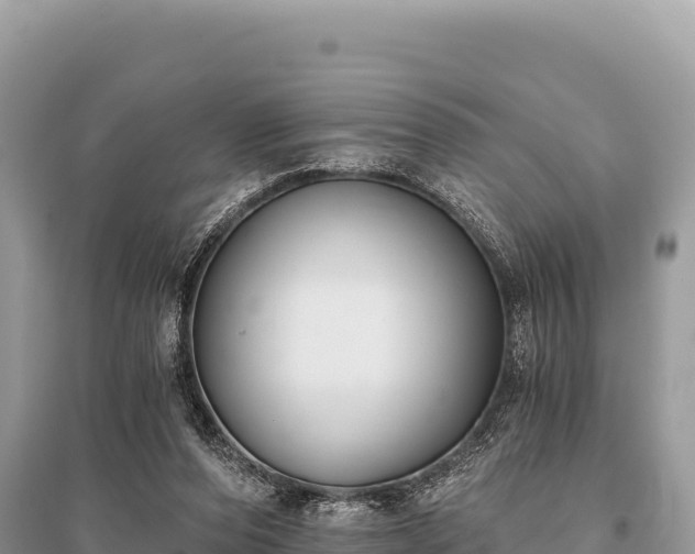 X0000096180208200801251224