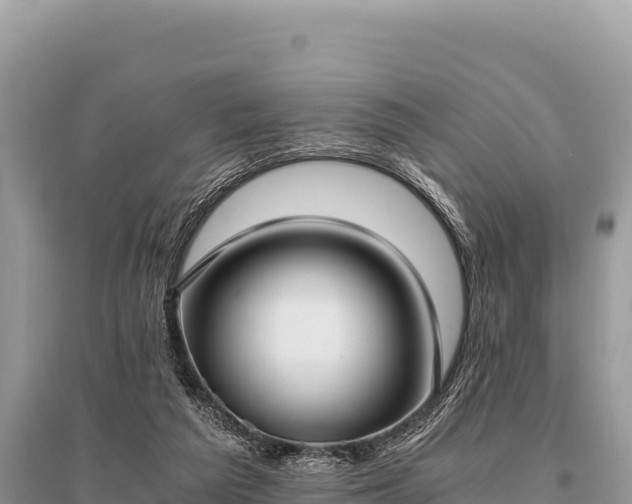 X0000096180209200801251224