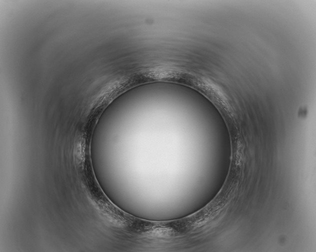 X0000096180210200801251224