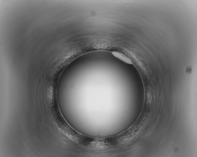 X0000096180211200801251224