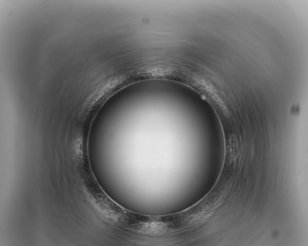 X0000096180212200801251224