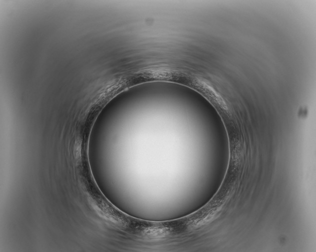 X0000096180213200801251224