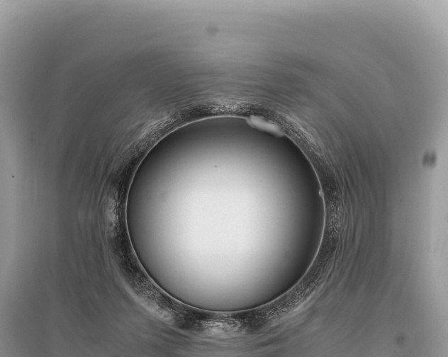 X0000096180215200801251224