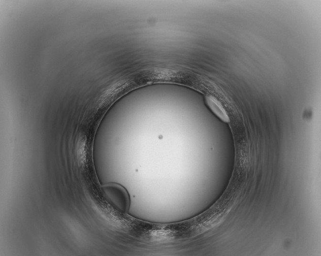 X0000096180216200801251224