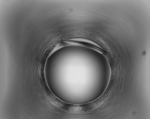 X0000096180217200801251224