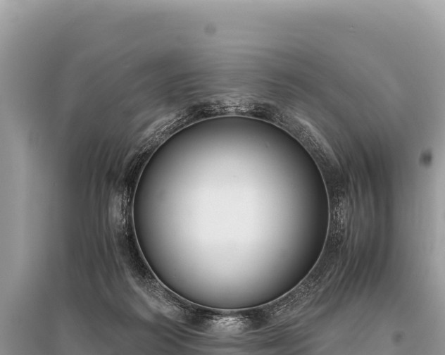 X0000096180218200801251224