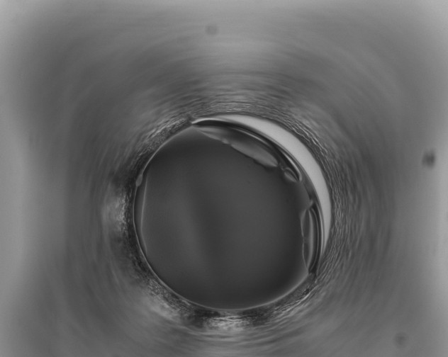 X0000096180219200801251224