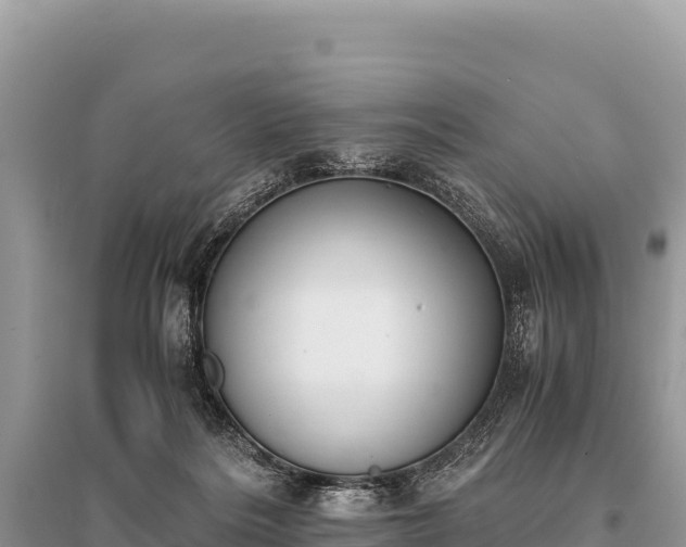 X0000096180220200801251224