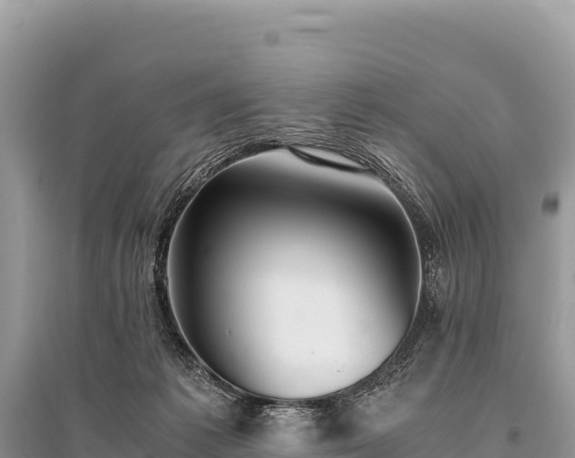 X0000096180221200801251224