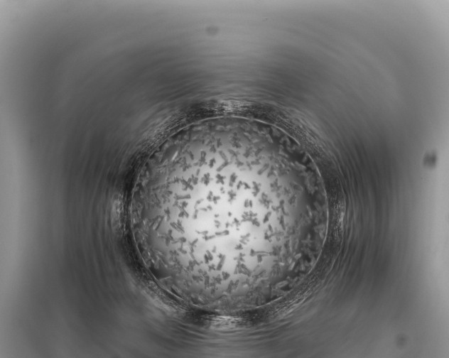 X0000096180222200801251224